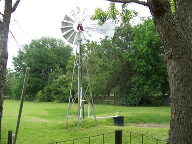 22419 Kickapoo Rd, Waller, TX 77484 - photo 5