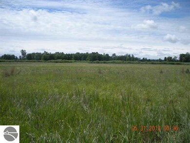 0 E Huron Rd unit 1763959, Omer, MI 48749 - photo 3