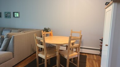 57 Saint Paul St unit 1, Brookline, MA 02446 - photo 4