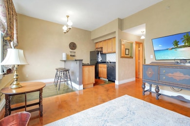 488 Wabasha St N unit 606, Saint Paul, MN 55102 - photo 2