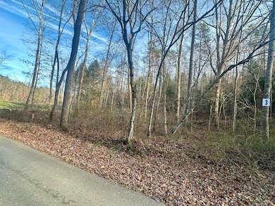 Lot 3 Radford Rd, East Bernstadt, KY 40729 - photo 5