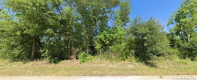 0 Highway 14 E unit SWL25102339, Lake Charles, LA 70607 - photo 2