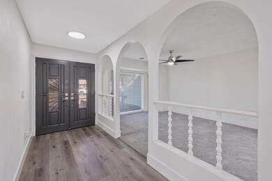 5-web-or-mls-713A4023