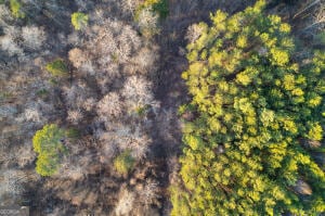 0 Puddin Ridge Rd, Flat Rock, AL 35966 - photo 3