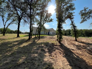 167 Private Road 4624, Boyd, TX 76023 - photo 4