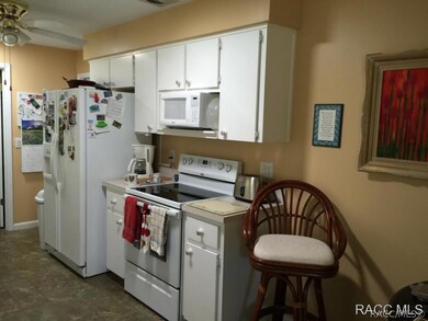 3206 N Camomile Way, Beverly Hills, FL 34465 - photo 6