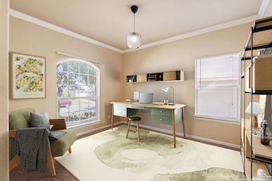 10618 Cosmos Canyon, Helotes, TX 78023 - photo 5