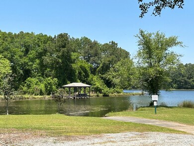 Lot 12C Garrett's Point, Meigs, GA 31765 - photo 6