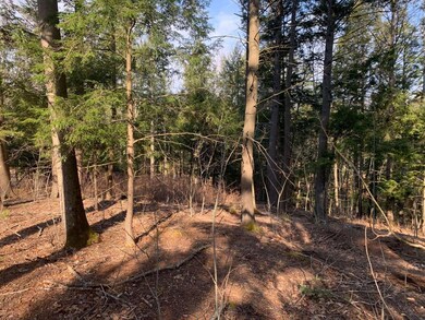 0 Poland Rd, Freeport, ME 04032 - photo 4