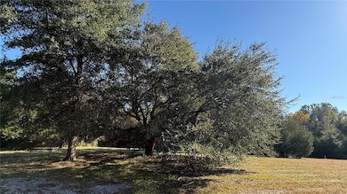 16508 NW 192nd Place, Williston, FL 32696 - photo 7