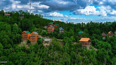 DJI_0890