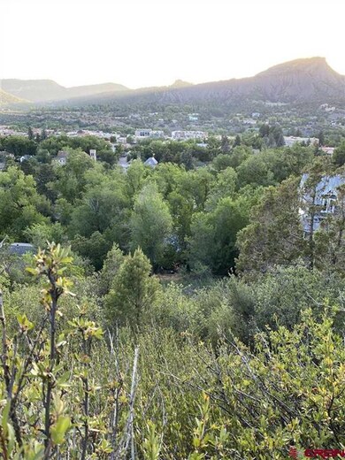 1164 E 5th Ave, Durango, CO 81301 - photo 6