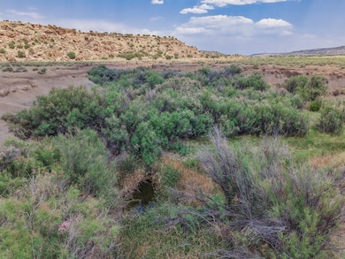 95 Cliff Thorn Rd, Quemado, NM 87829 - photo 5