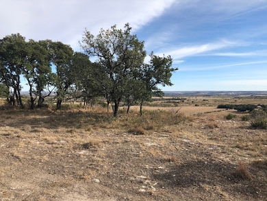 Lot 23 Flight Path unit 23, Fredericksburg, TX 78624 - photo 6