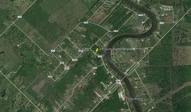 Lot 8 County Road 659, Brazoria, TX 77422 - photo 4