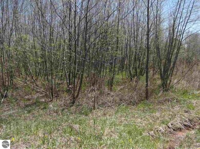 00 Putnam Rd, Hale, MI 48739 - photo 4