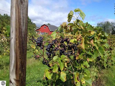 7624 W Esmond Rd, Hale, MI 48739 - photo 3