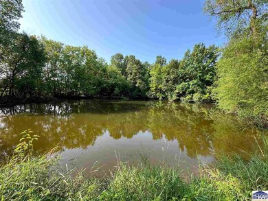 0 S Gorton Rd, Clinton Township, IN 47842 - photo 6