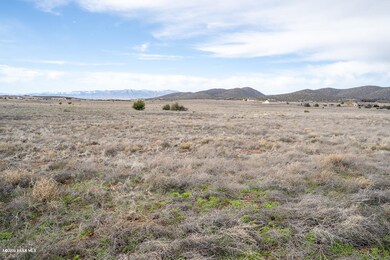 View to South from center of lot-2