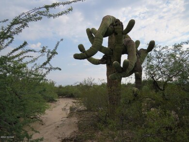 6080 N Mona Lisa Rd, Tucson, AZ 85741 - photo 6