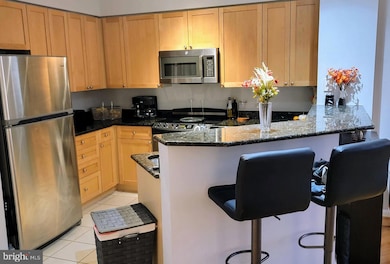 3101 N Hampton Dr unit 1419, Alexandria, VA 22302 - photo 2