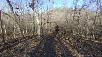 464200 Acorn Ridge, Proctor, OK 74457 - photo 4