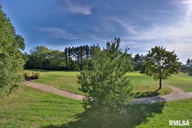 4511 N Tallgrass Ln, Peoria, IL 61615 - photo 7