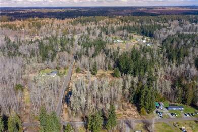 35401 4th Ave E, Roy, WA 98580 - photo 6