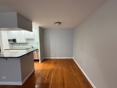 744 W Gordon Terrace unit 203, Chicago, IL 60613 - photo 5
