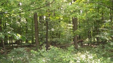 0 Grand Valley View Ct unit 215025511, Howard, OH 43028 - photo 6