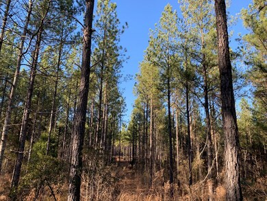 63 ac Lee Road 333, Salem, AL 36874 - photo 5