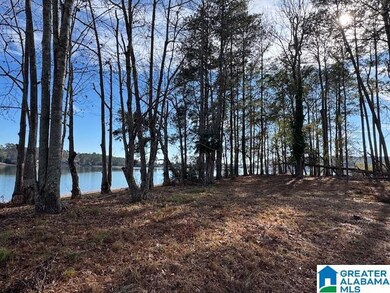 209 Pitchford Way, Alexander City, AL 35010 - photo 5