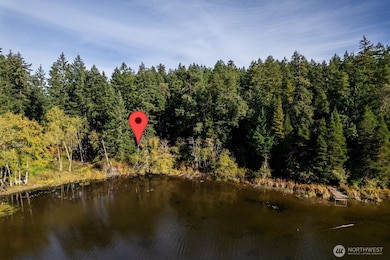 11104 Matthews Way, Anderson Island, WA 98303 - photo 3