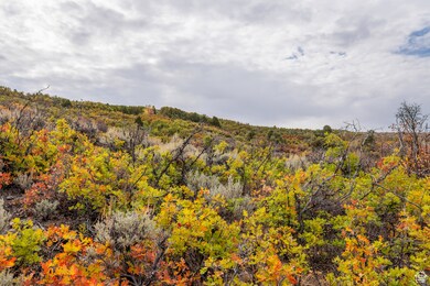 1878 S Remuda Run Ct, Heber City, UT 84032 - photo 6