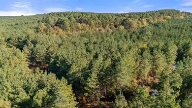 24 Cedar Tree Trail, Broken Bow, OK 74728 - photo 5