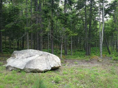 Land/Lot.