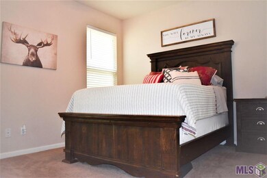 11464 Legacy Oaks Ln, Gonzales, LA 70737 - photo 3
