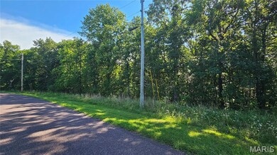 2437 Doe Run, Lake Sherwood, MO 63357 - photo 4