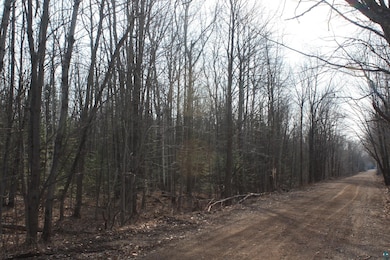 50XX S Maple Dr, Poplar, WI 54864 - photo 5