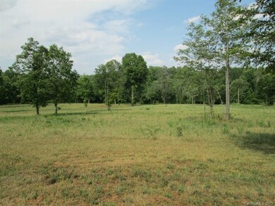 000 Cooper Farm Rd, Statesville, NC 28677 - photo 6