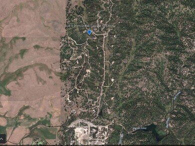 Google Earth Image