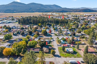 790 E Forest Ave, Colville, WA 99114 - photo 2
