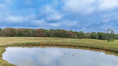 TBD Fm 154, Cooper, TX 75432 - photo 5