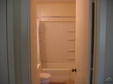 4006 Appletree Ln, Tyler, TX 75701 - photo 3