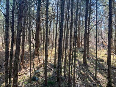 TBD N 4740, Muldrow, OK 74948 - photo 7