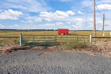 10270 Sentell Rd, Belcher, LA 71004 - photo 5