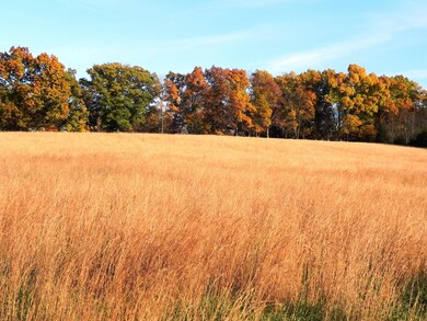Tbd N 20th St, Ozark, MO 65721 - photo 5