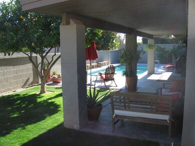 Back Yard to the South