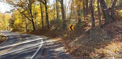 0 Lexington Turnpike unit 342098, Oronoco, VA 24521 - photo 3