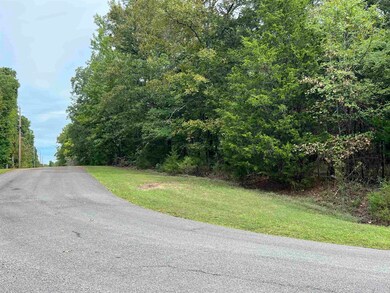 137 Shore Dr, Shirley, AR 72153 - photo 5